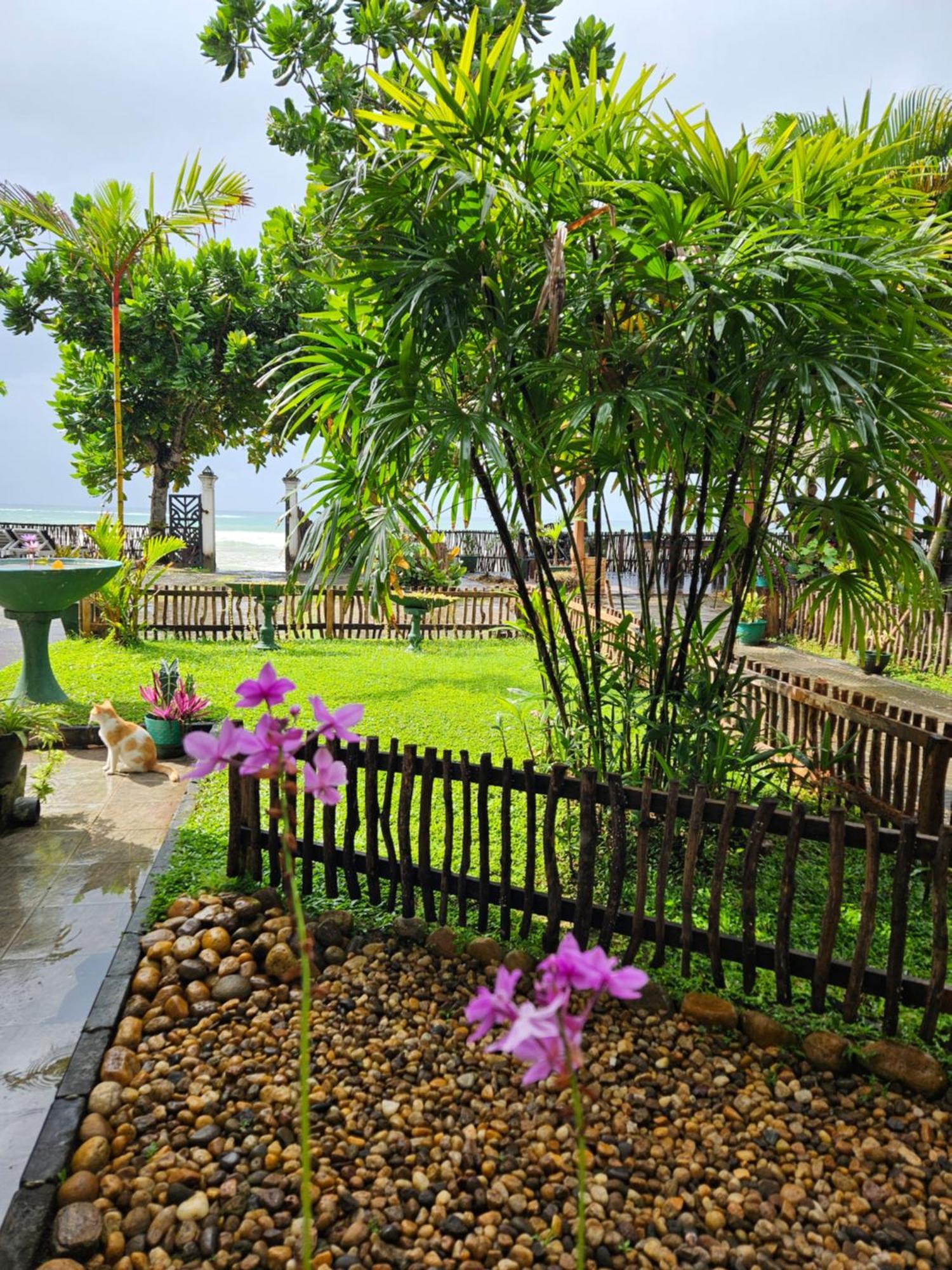 Balance Beach Resort Dickwella Exterior photo