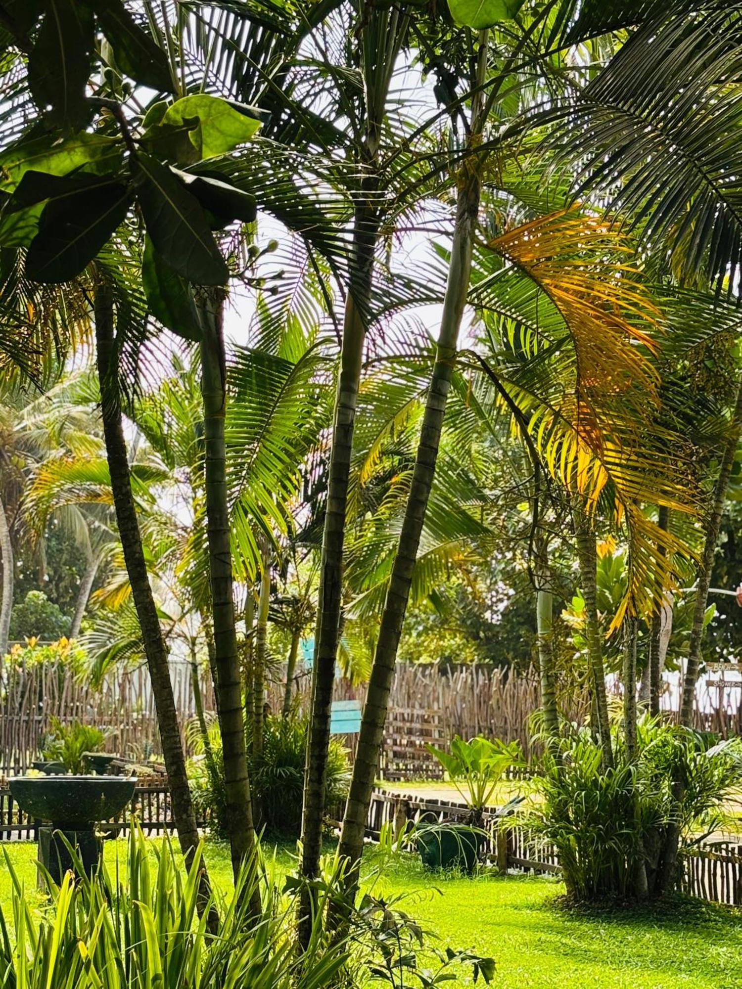 Balance Beach Resort Dickwella Exterior photo